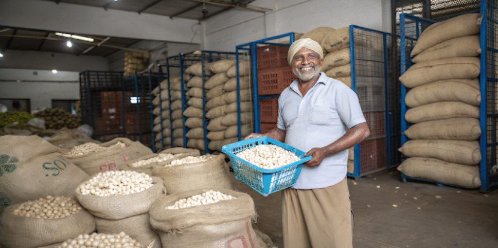 makhana-supplier